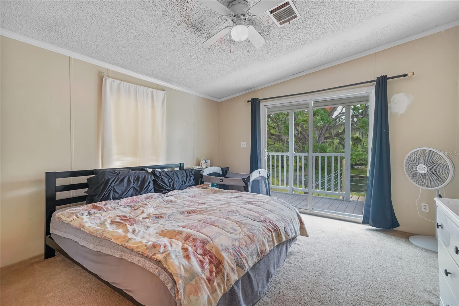 4433 ROSE ST, VALRICO, FL, 33596