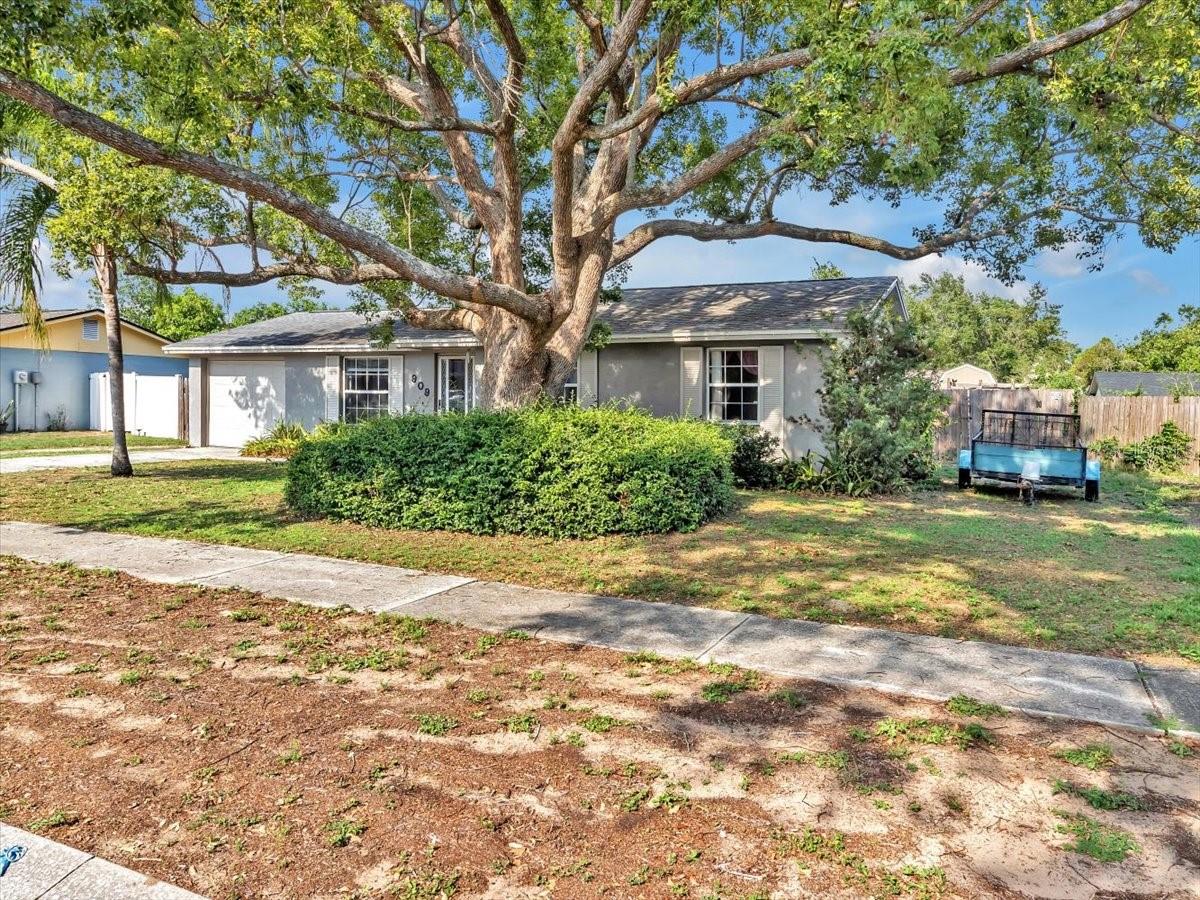 909 KIRKCALDY WAY, VALRICO, FL, 33594
