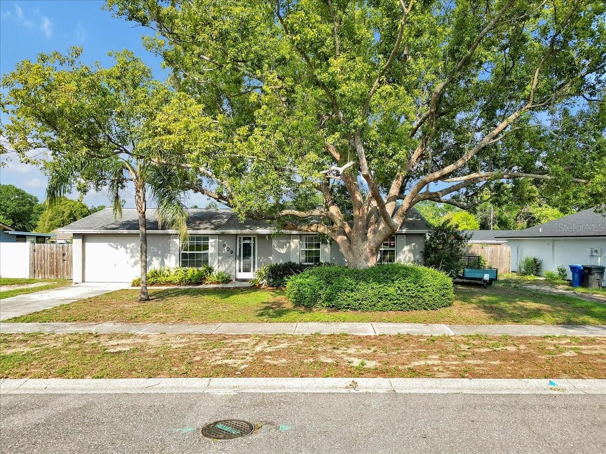 909 KIRKCALDY WAY, VALRICO, FL, 33594