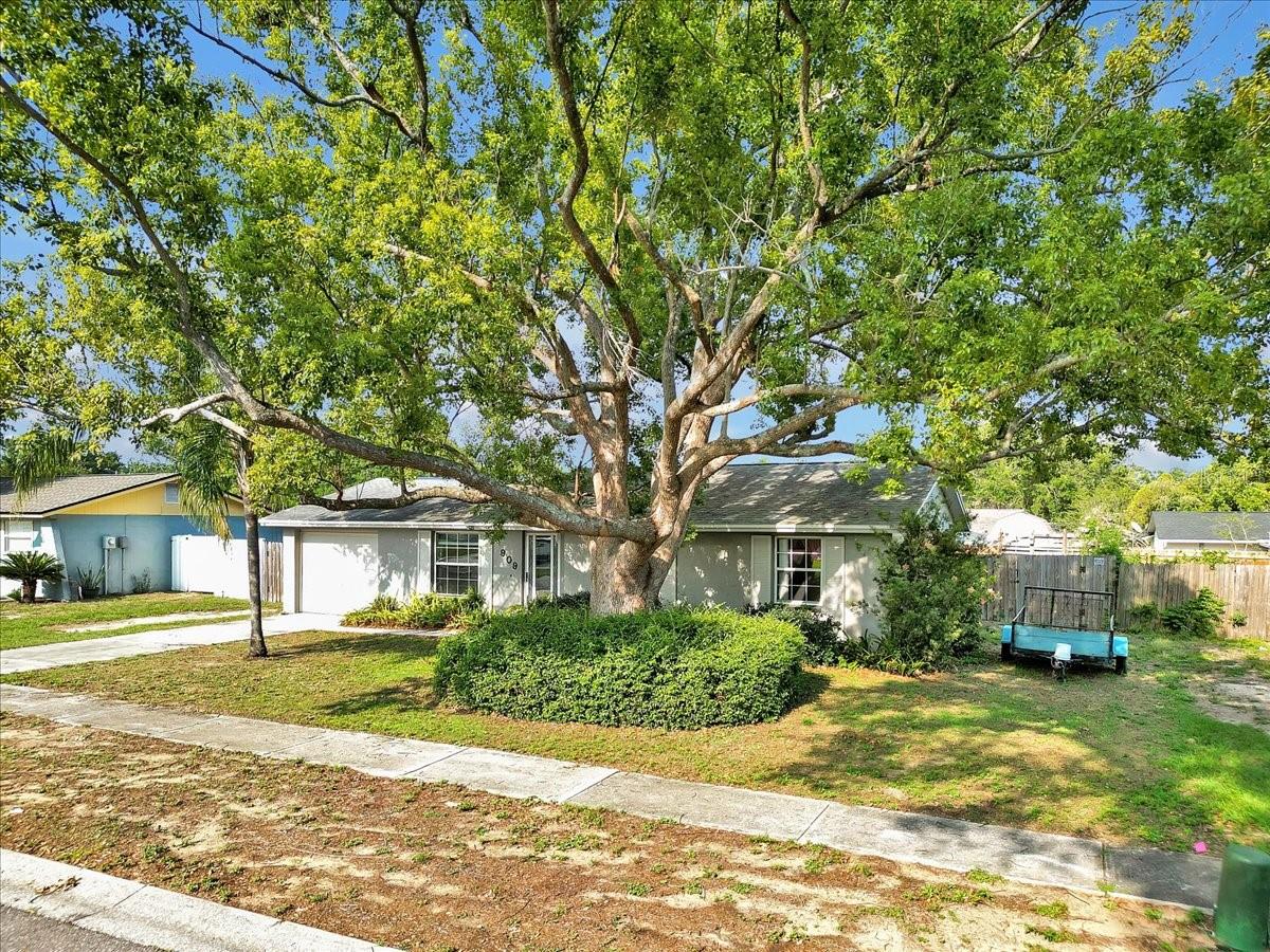 909 KIRKCALDY WAY, VALRICO, FL, 33594