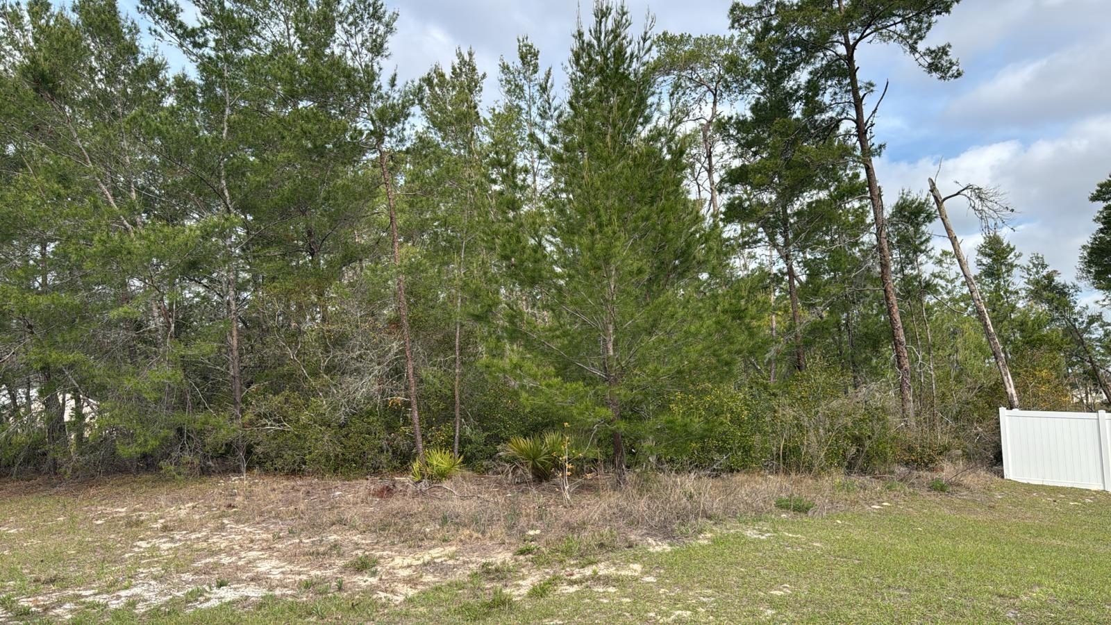 SW 41ST CIR, OCALA, FL, 34473