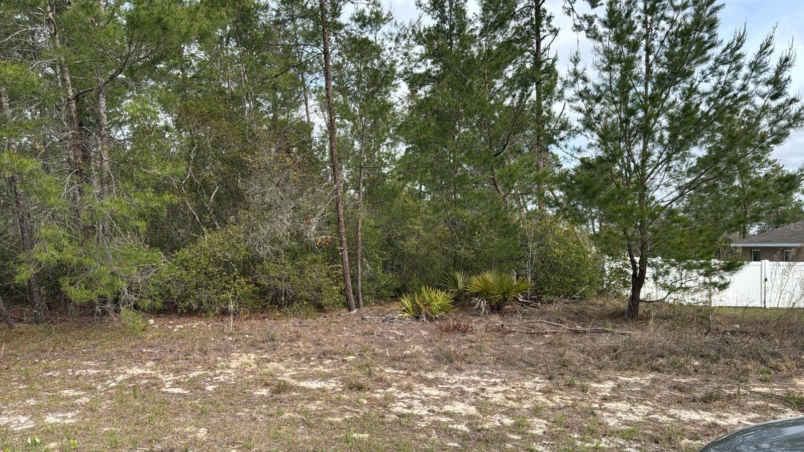 SW 41ST CIR, OCALA, FL, 34473