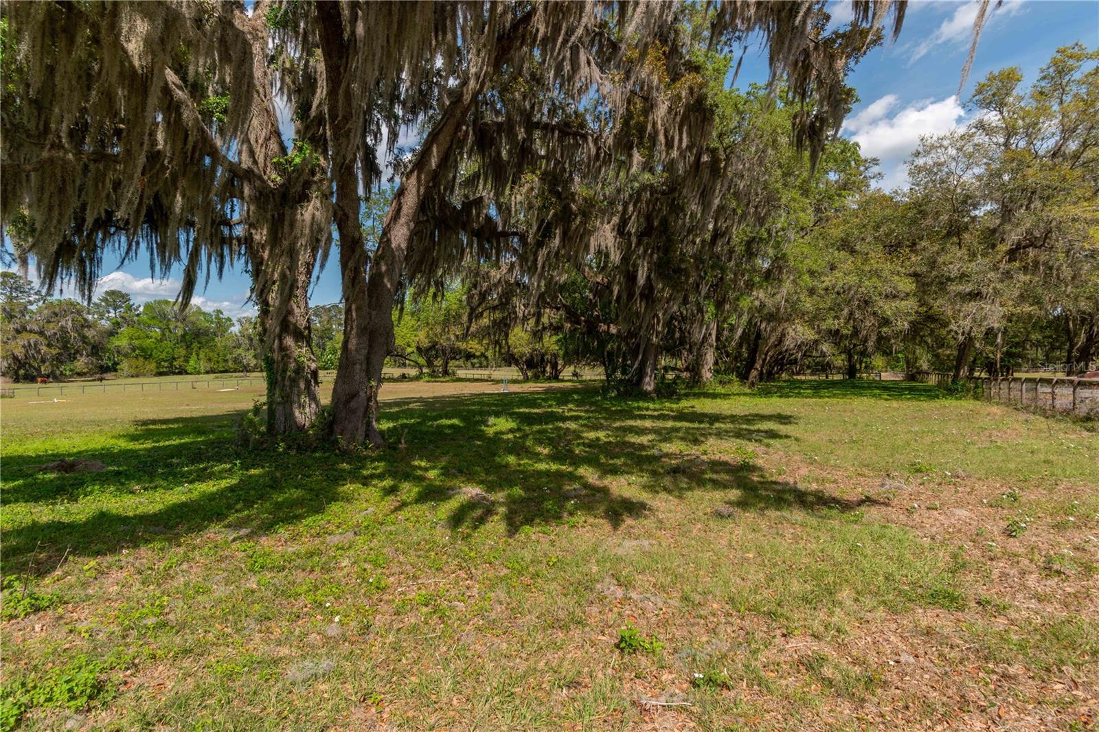 6124 NW 160TH ST, REDDICK, FL, 32686