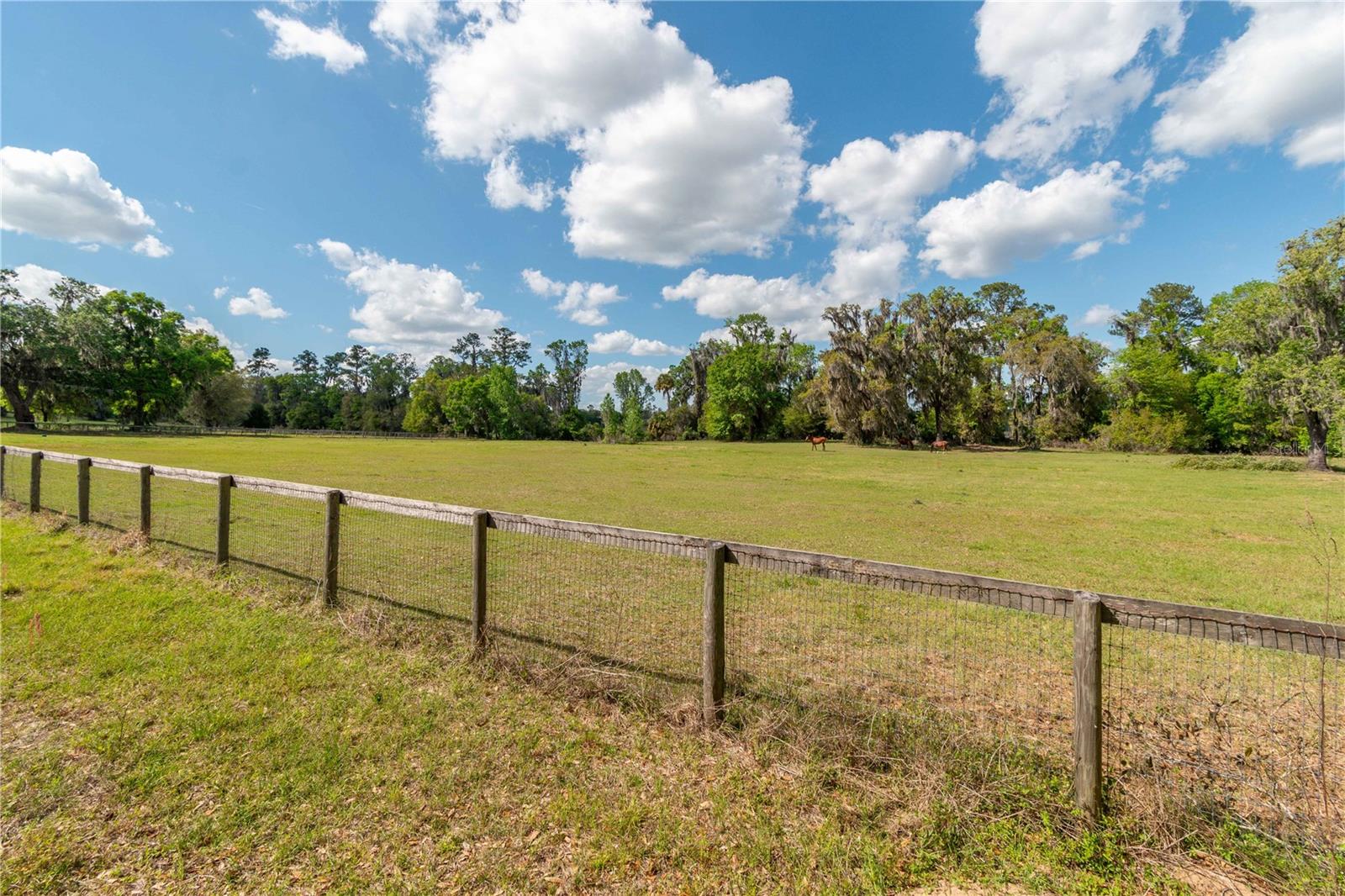 6124 NW 160TH ST, REDDICK, FL, 32686