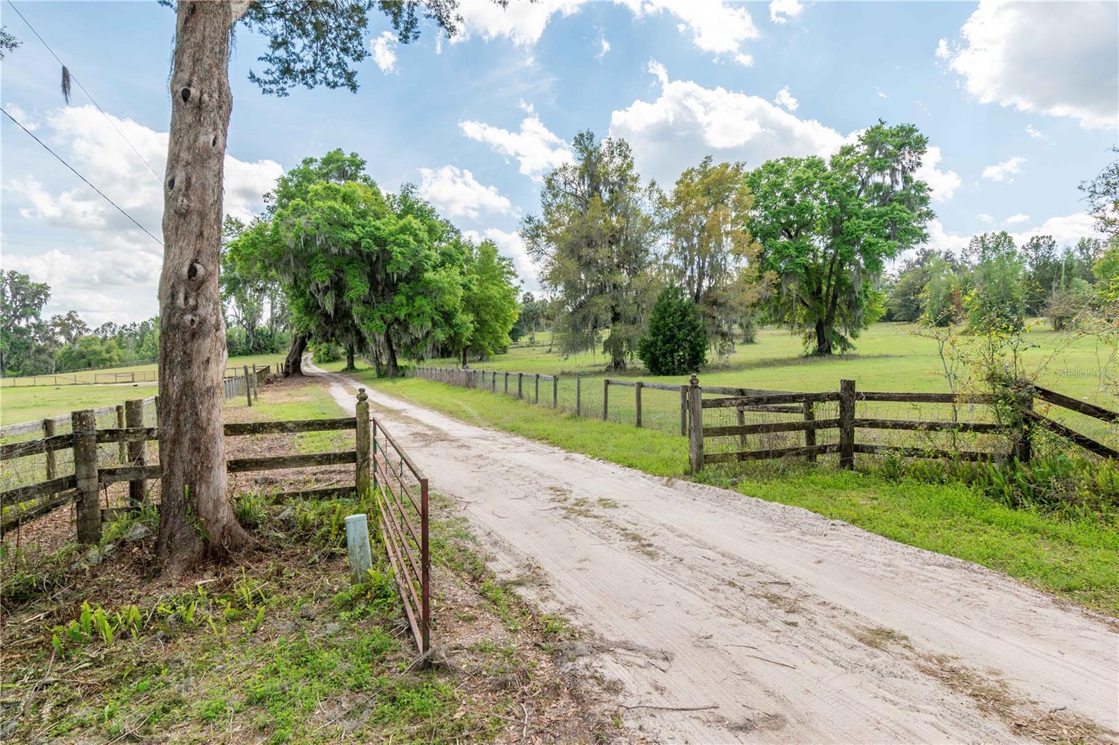 6124 NW 160TH ST, REDDICK, FL, 32686