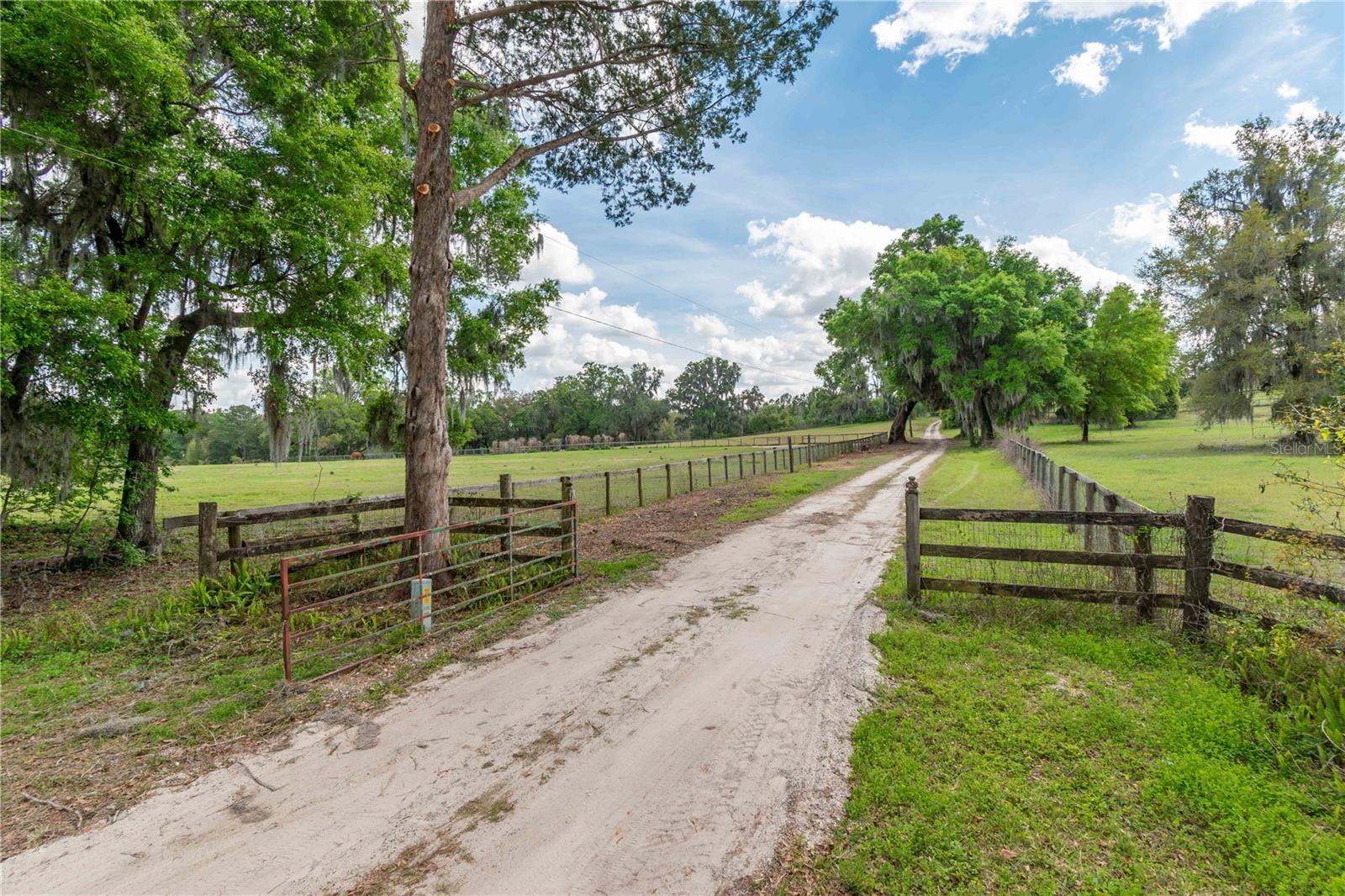 6124 NW 160TH ST, REDDICK, FL, 32686