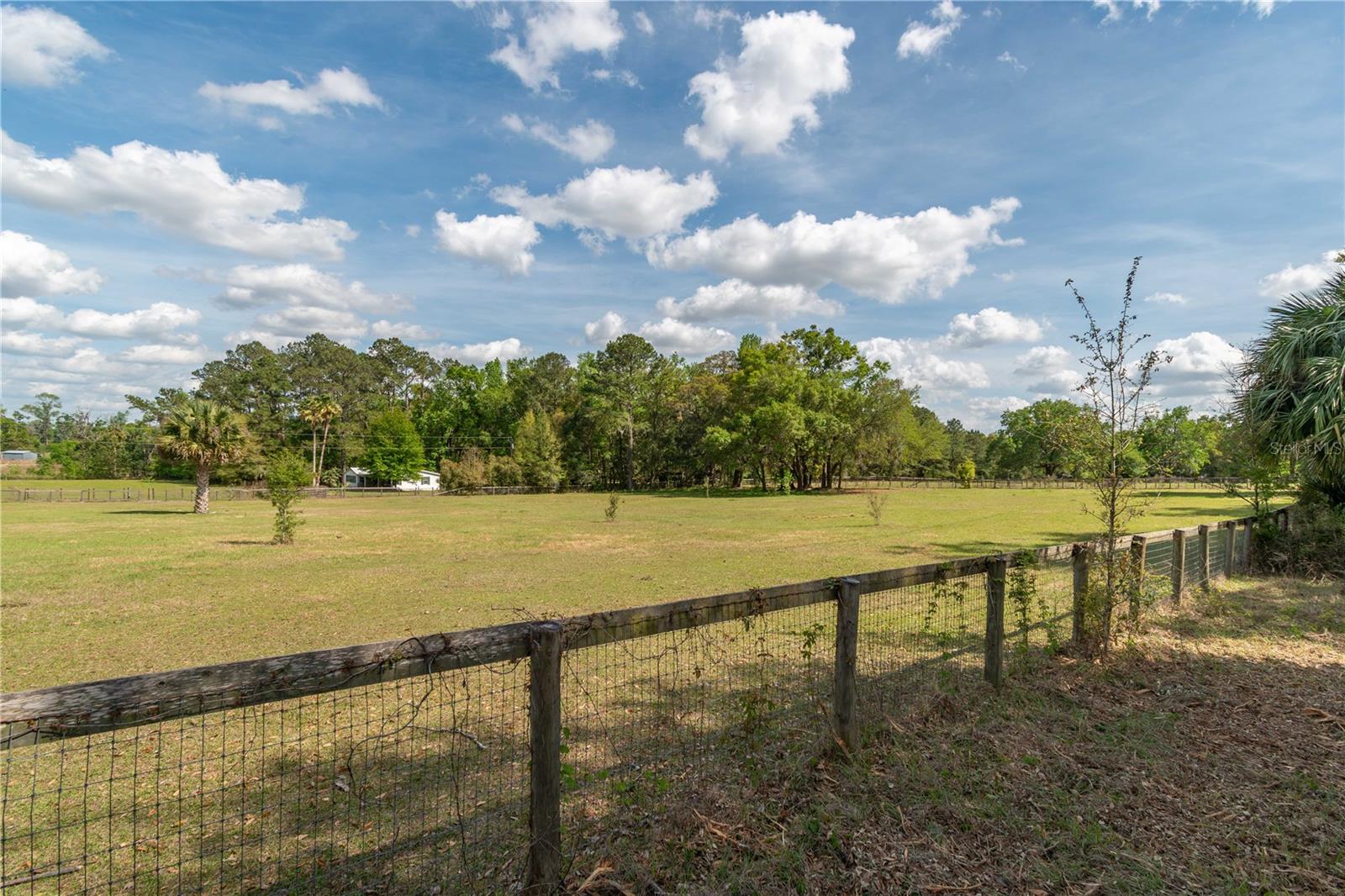 6124 NW 160TH ST, REDDICK, FL, 32686