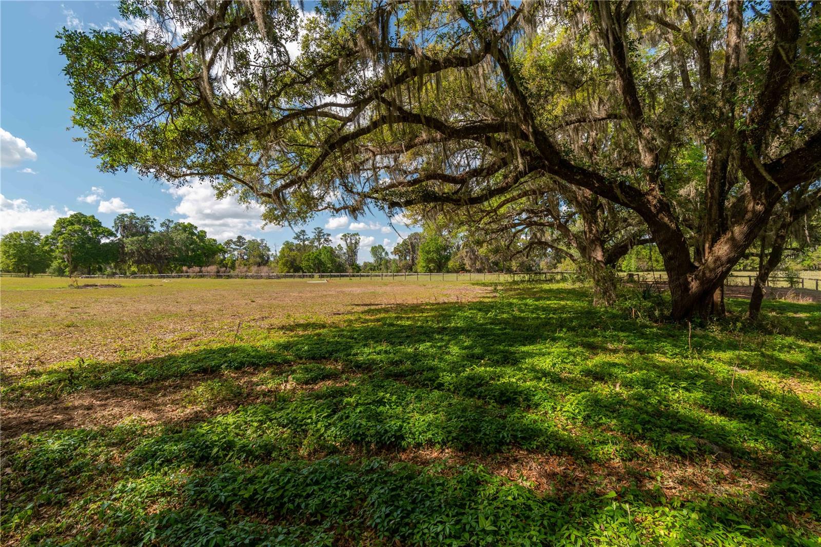 6124 NW 160TH ST, REDDICK, FL, 32686
