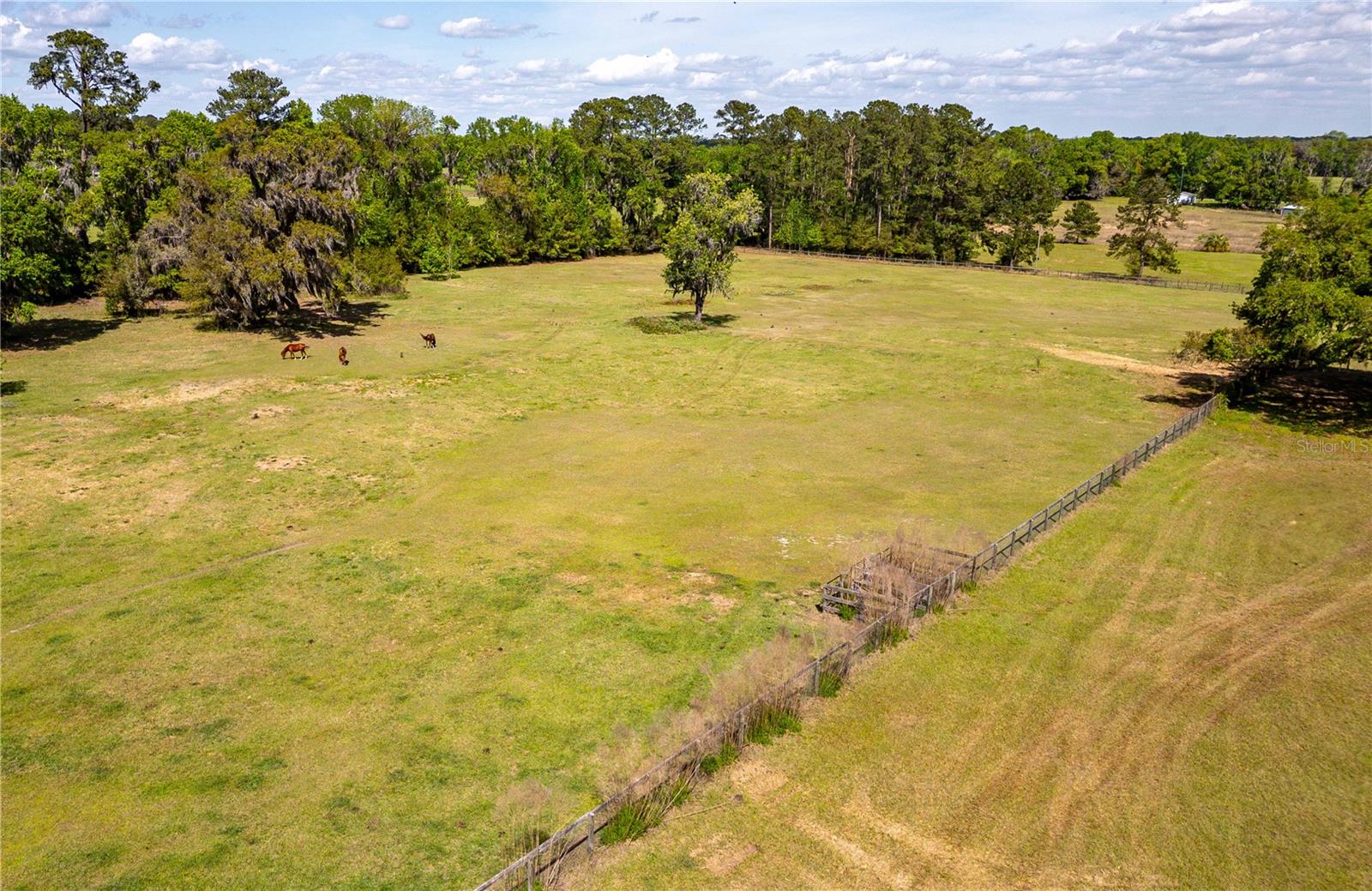 6124 NW 160TH ST, REDDICK, FL, 32686