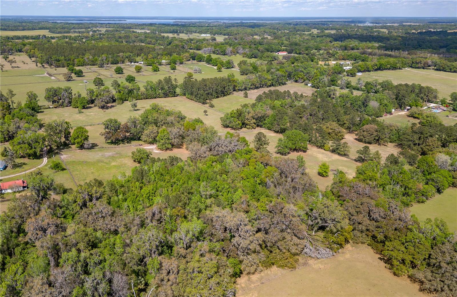 6124 NW 160TH ST, REDDICK, FL, 32686