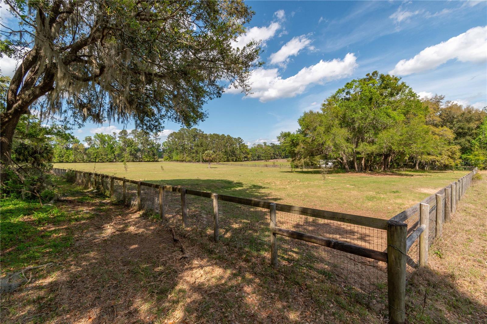 6124 NW 160TH ST, REDDICK, FL, 32686