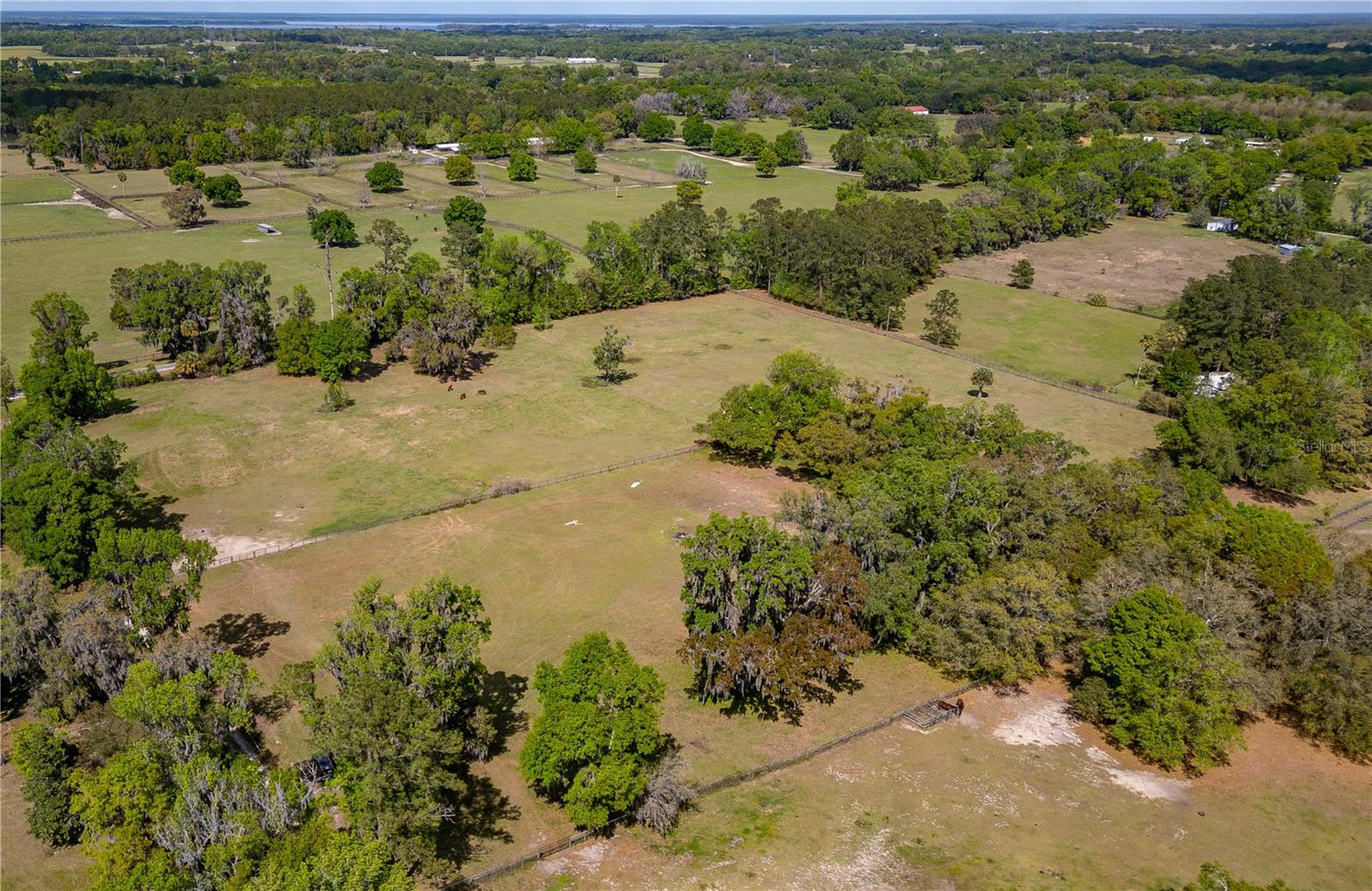 6124 NW 160TH ST, REDDICK, FL, 32686