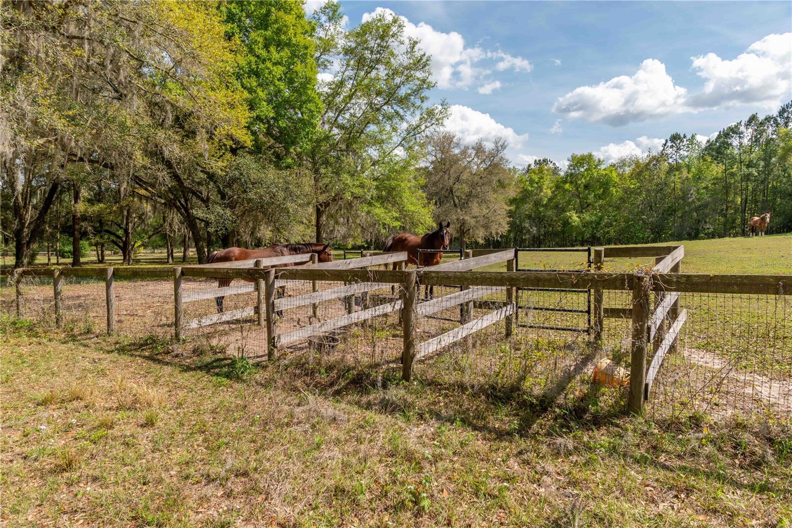 6124 NW 160TH ST, REDDICK, FL, 32686