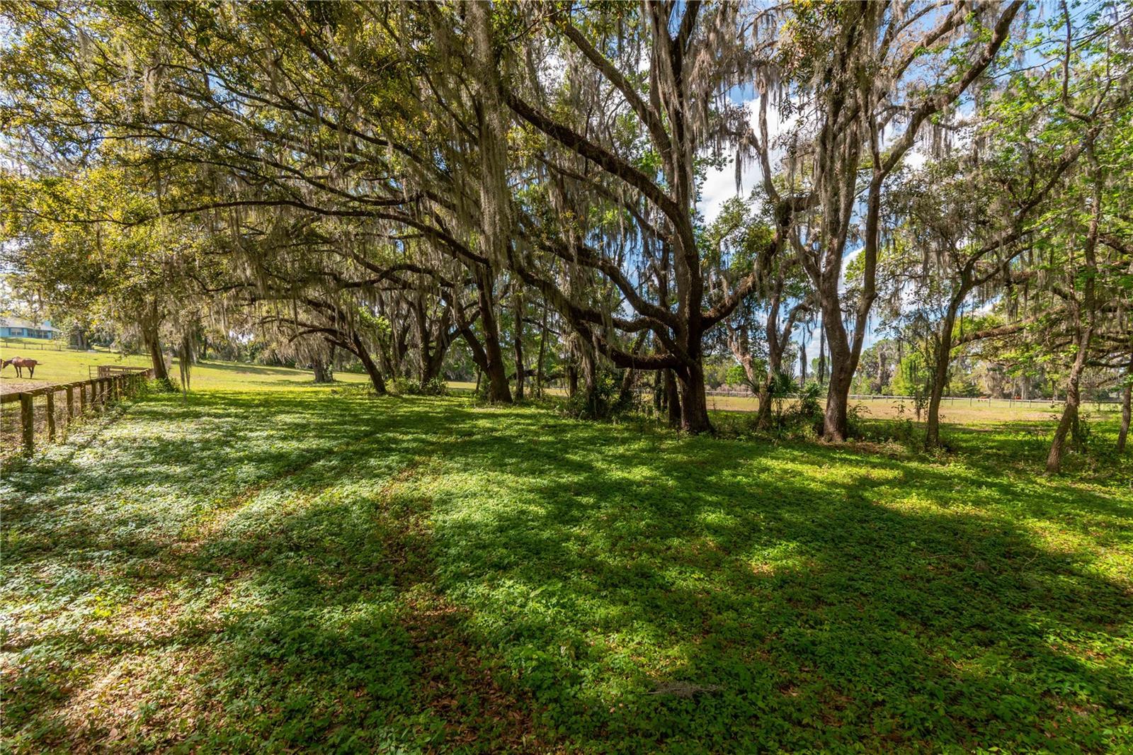 6124 NW 160TH ST, REDDICK, FL, 32686
