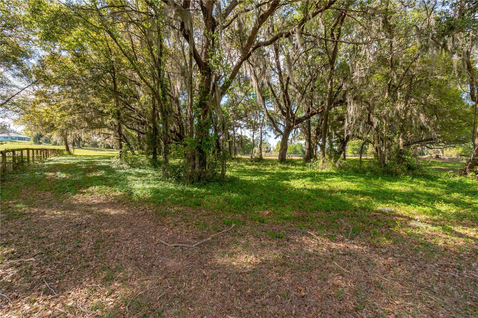 6124 NW 160TH ST, REDDICK, FL, 32686