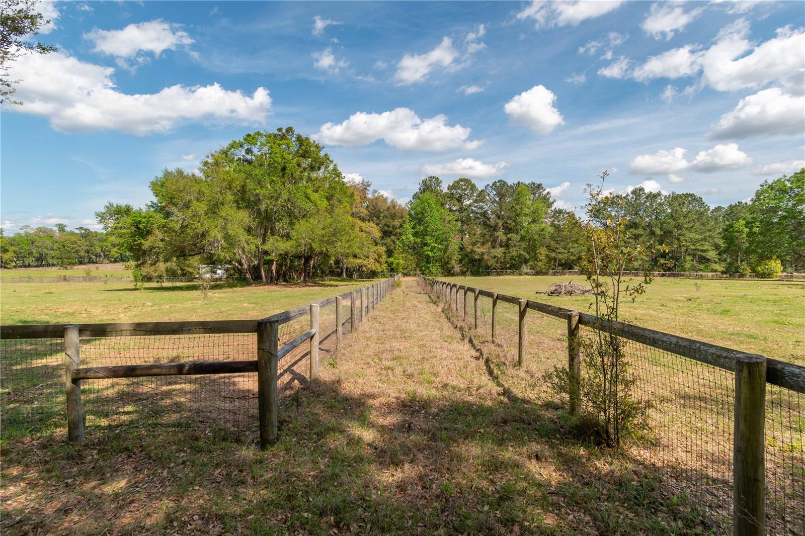 6124 NW 160TH ST, REDDICK, FL, 32686