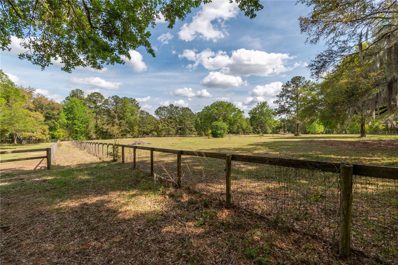 6124 NW 160TH ST, REDDICK, FL, 32686