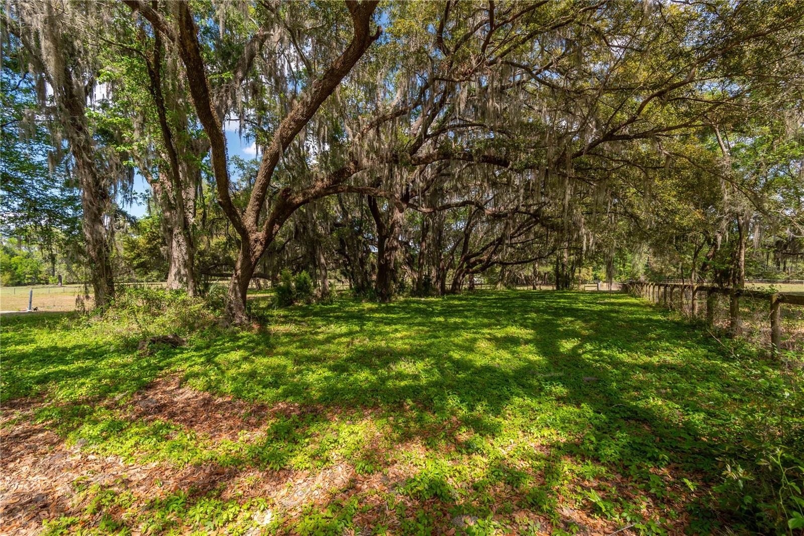 6124 NW 160TH ST, REDDICK, FL, 32686