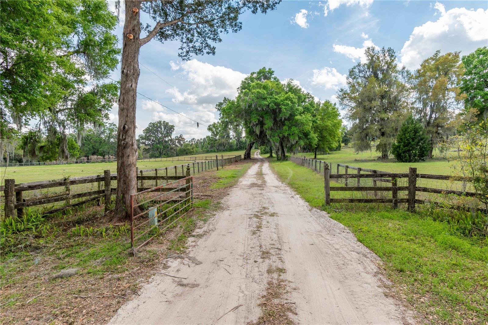 6124 NW 160TH ST, REDDICK, FL, 32686