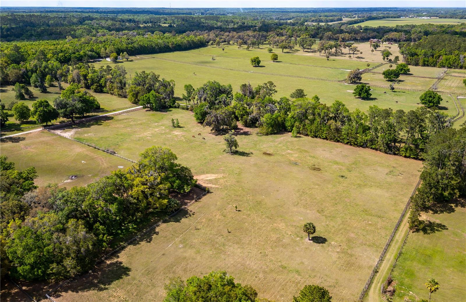 6124 NW 160TH ST, REDDICK, FL, 32686