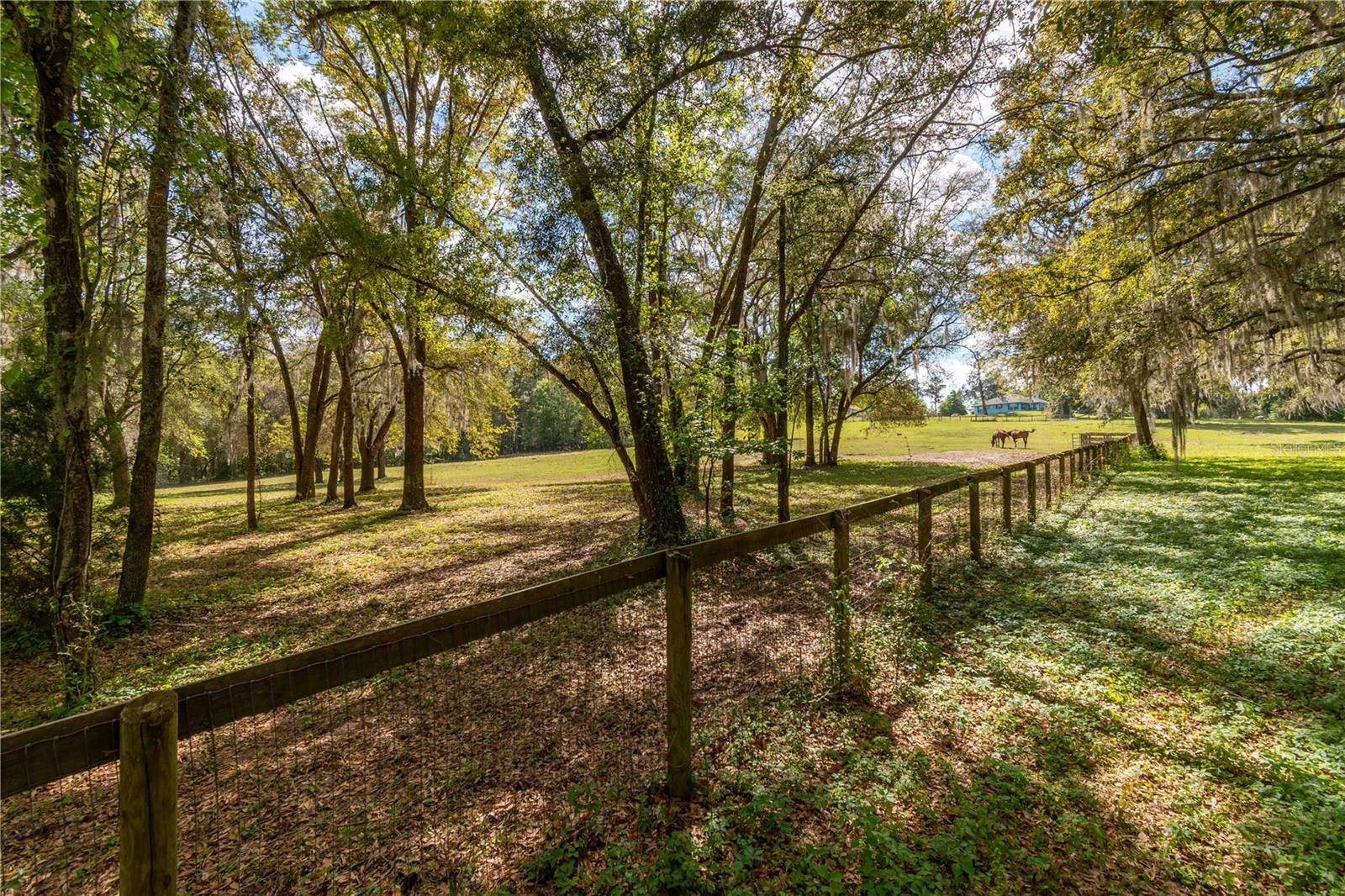 6124 NW 160TH ST, REDDICK, FL, 32686
