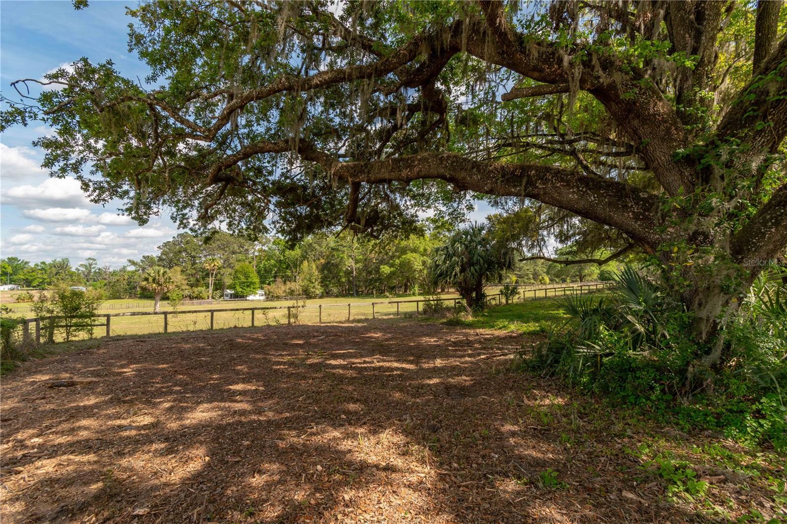 6124 NW 160TH ST, REDDICK, FL, 32686