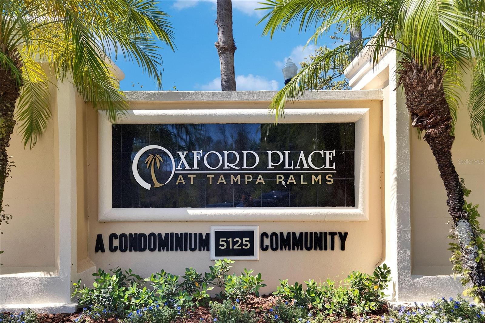 5125 PALM SPRINGS BLVD #6106, TAMPA, FL, 33647