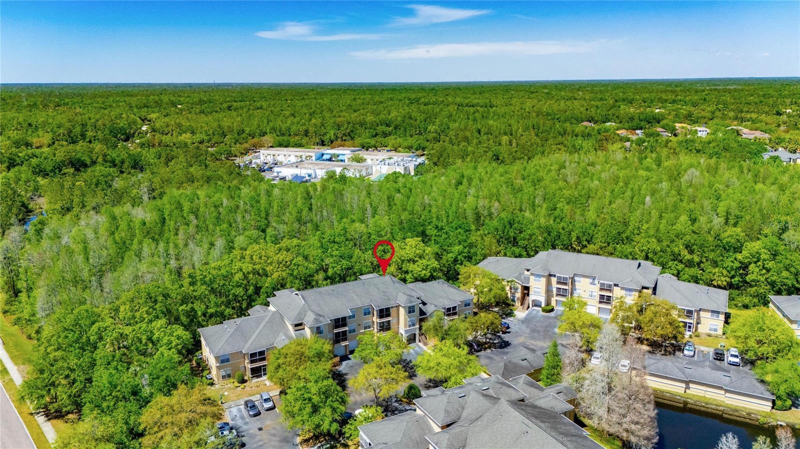 5125 PALM SPRINGS BLVD #6106, TAMPA, FL, 33647