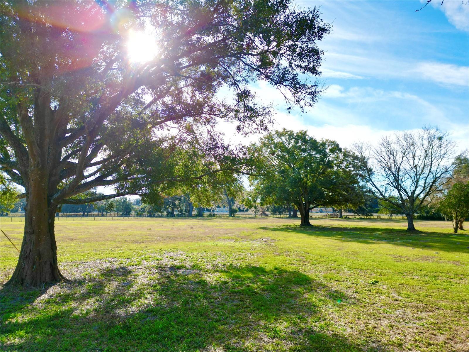 16970 S HIGHWAY 475, SUMMERFIELD, FL, 34491