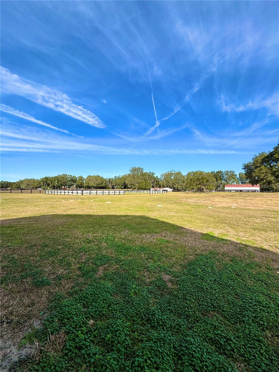 16970 S HIGHWAY 475, SUMMERFIELD, FL, 34491