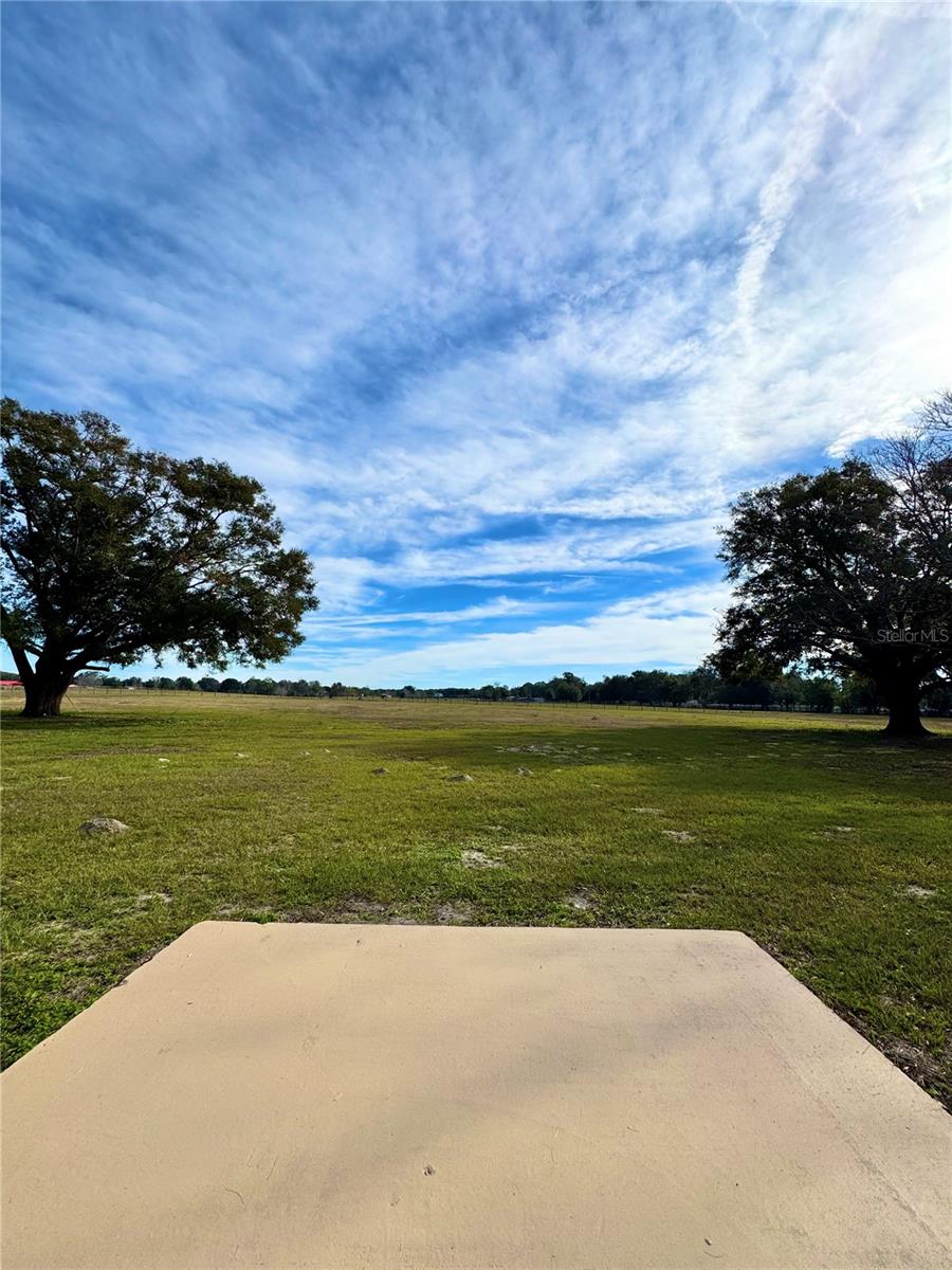 16970 S HIGHWAY 475, SUMMERFIELD, FL, 34491