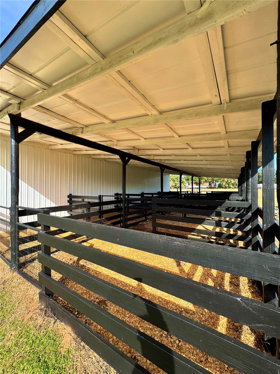16970 S HIGHWAY 475, SUMMERFIELD, FL, 34491