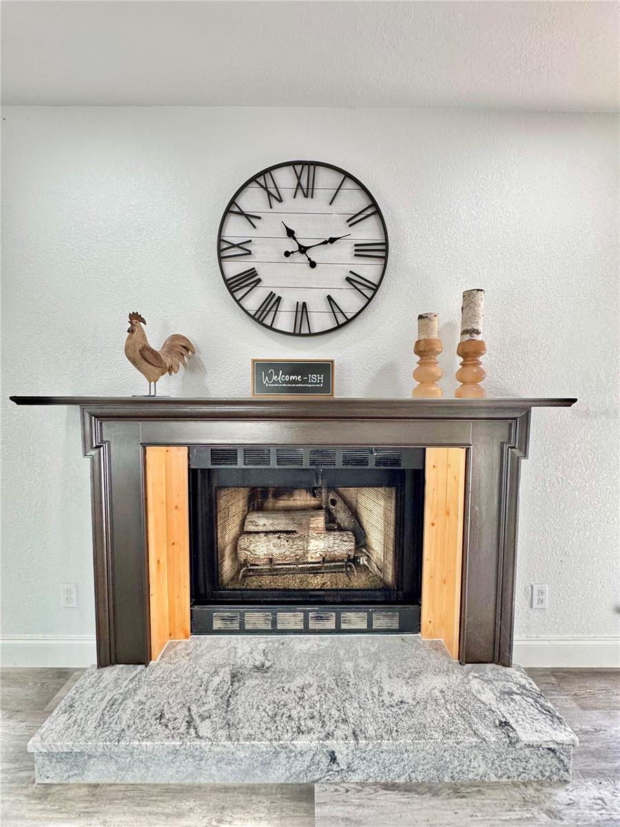 16970 S HIGHWAY 475, SUMMERFIELD, FL, 34491