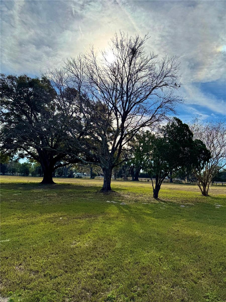 16970 S HIGHWAY 475, SUMMERFIELD, FL, 34491