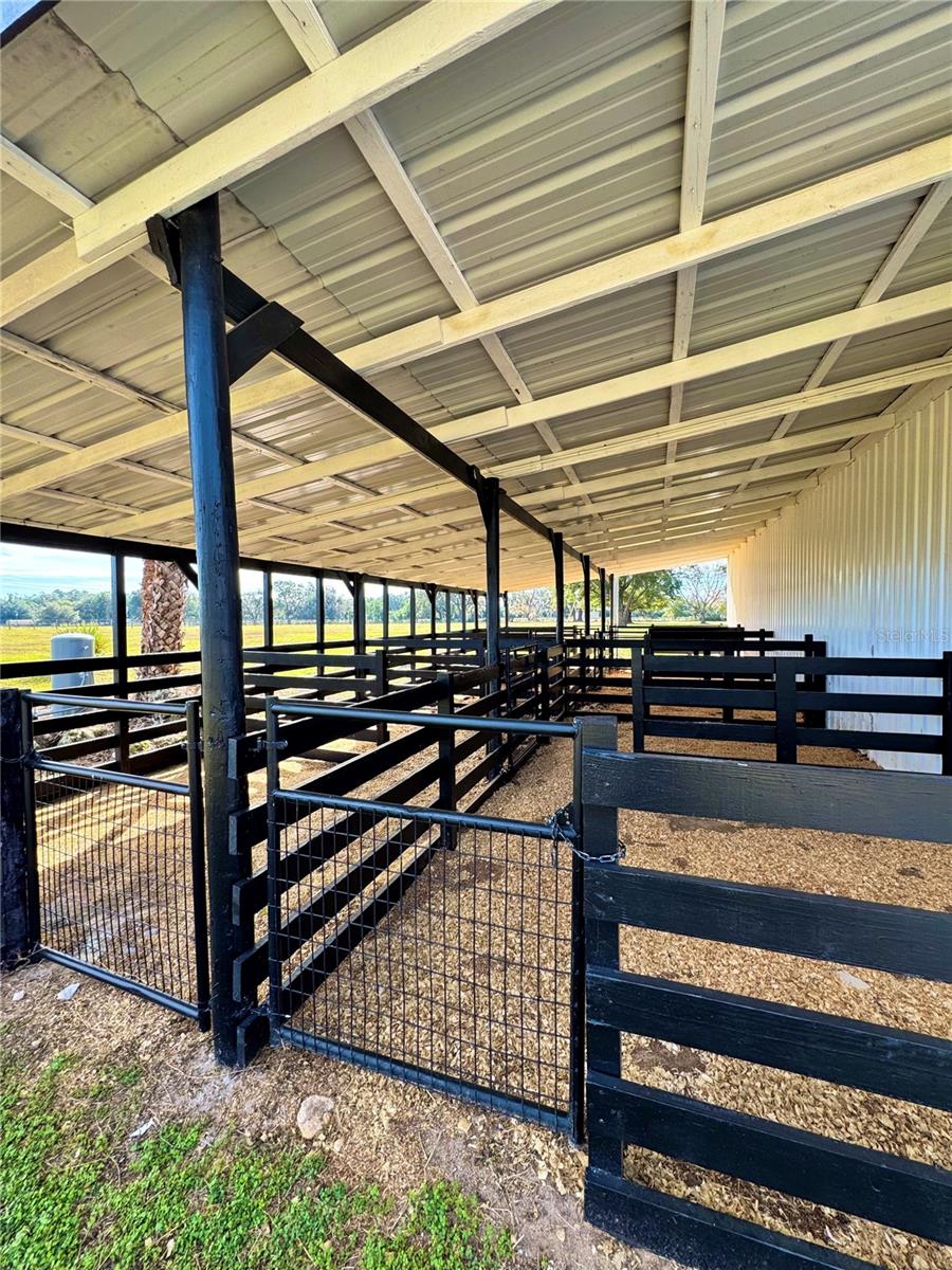 16970 S HIGHWAY 475, SUMMERFIELD, FL, 34491