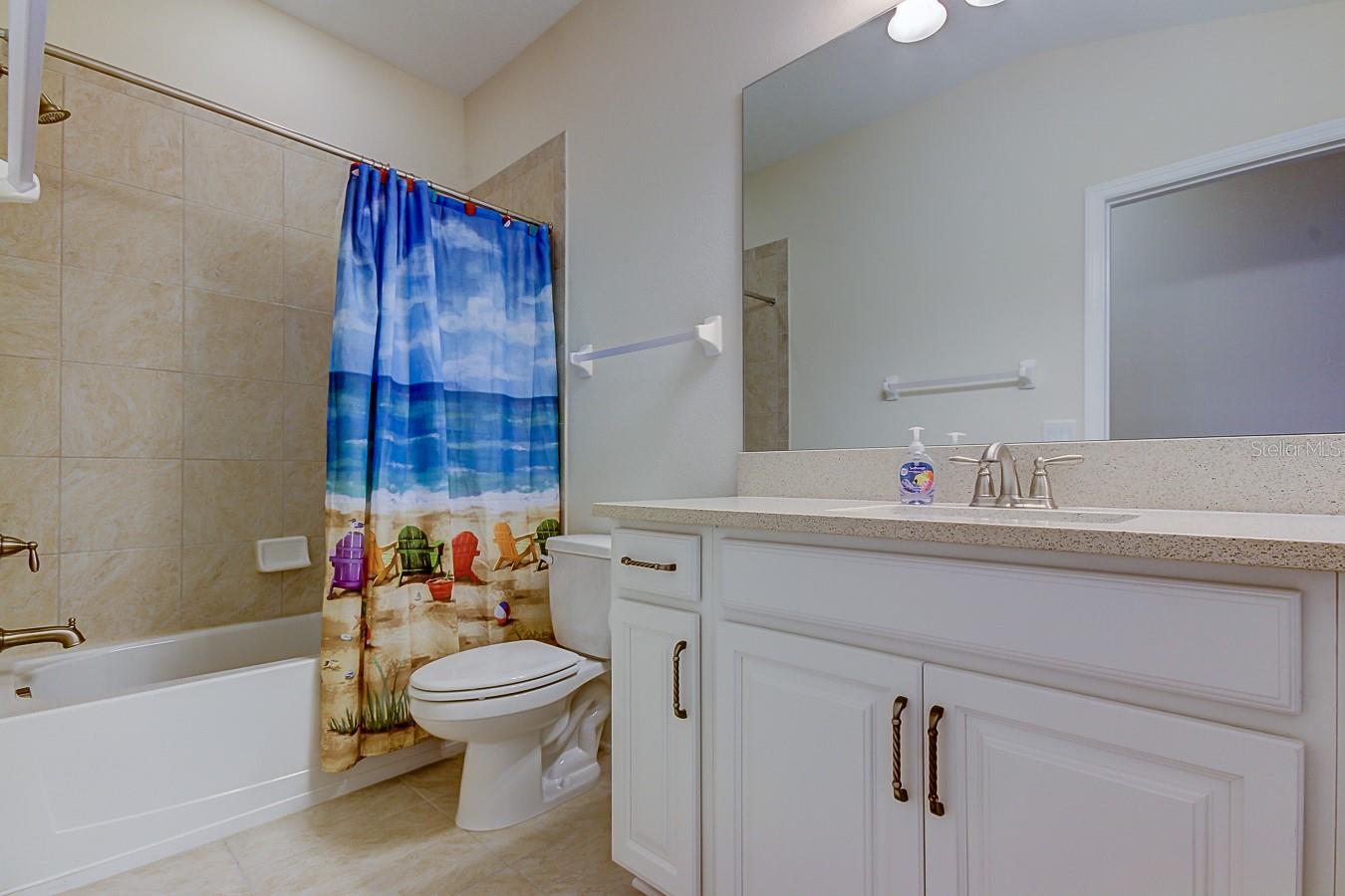 11676 CROWNED SPARROW LN, TAMPA, FL, 33626