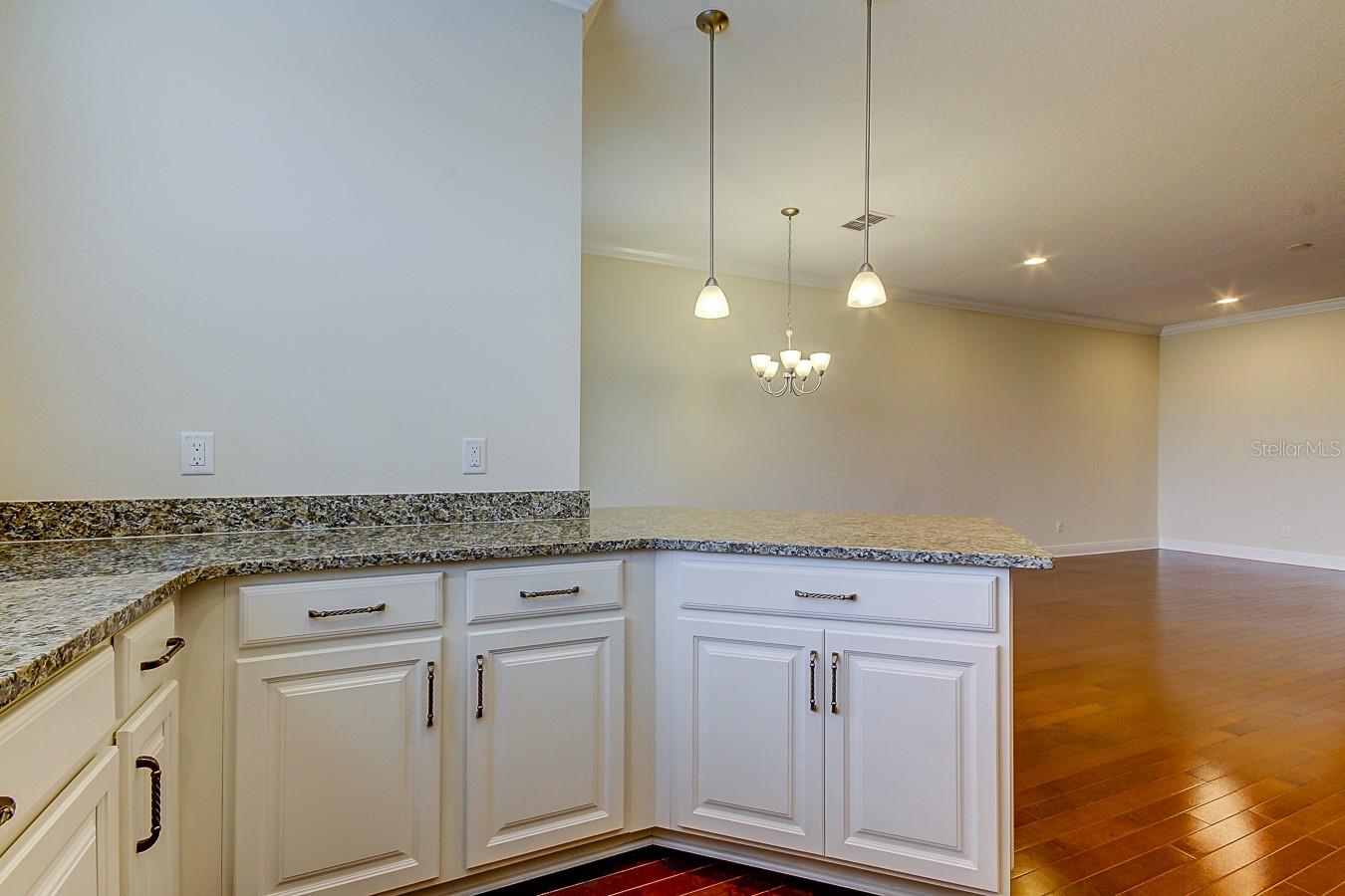 11676 CROWNED SPARROW LN, TAMPA, FL, 33626