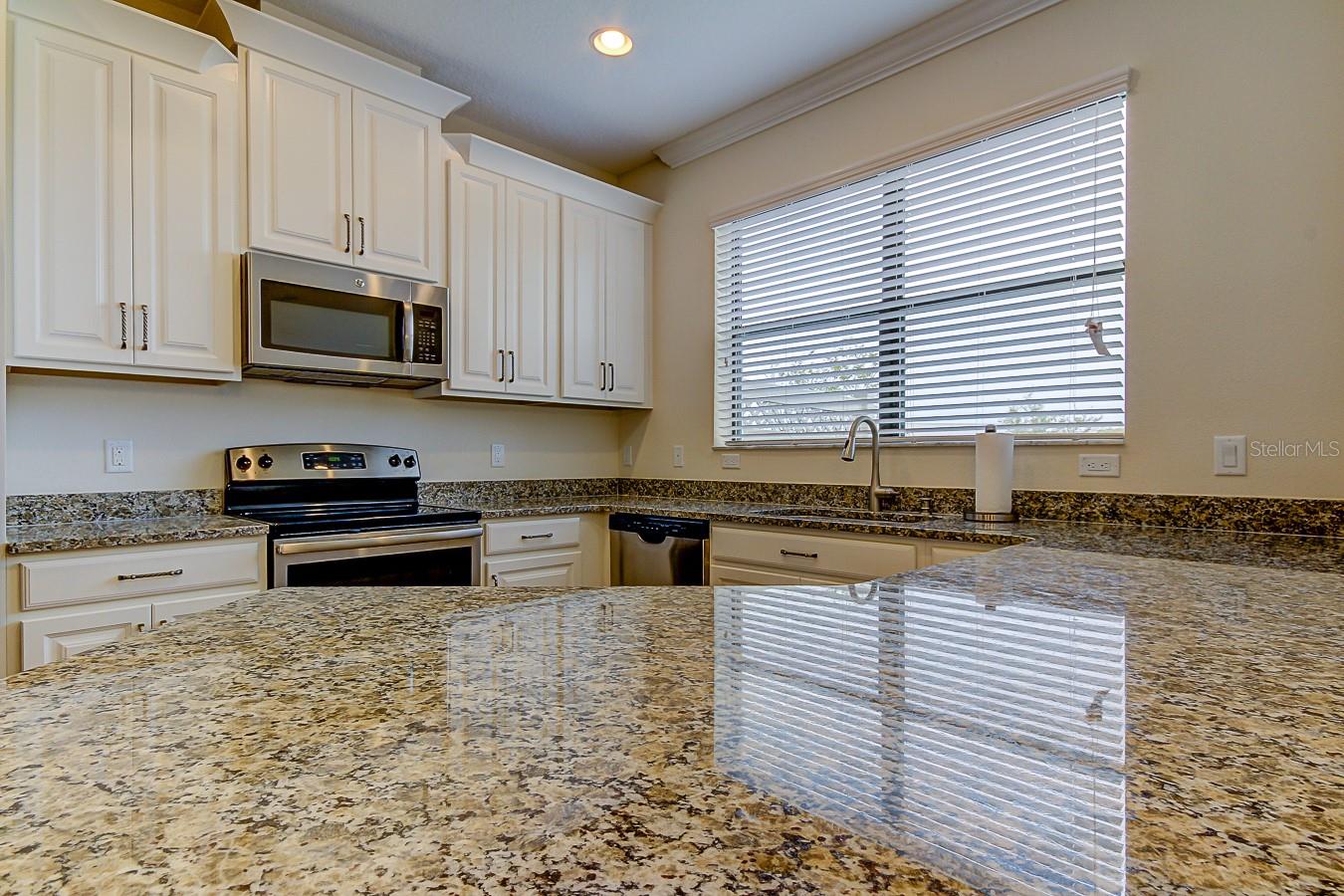11676 CROWNED SPARROW LN, TAMPA, FL, 33626