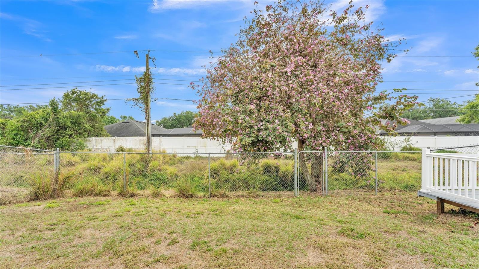 813 MIKASUKI DR, LAKELAND, FL, 33813