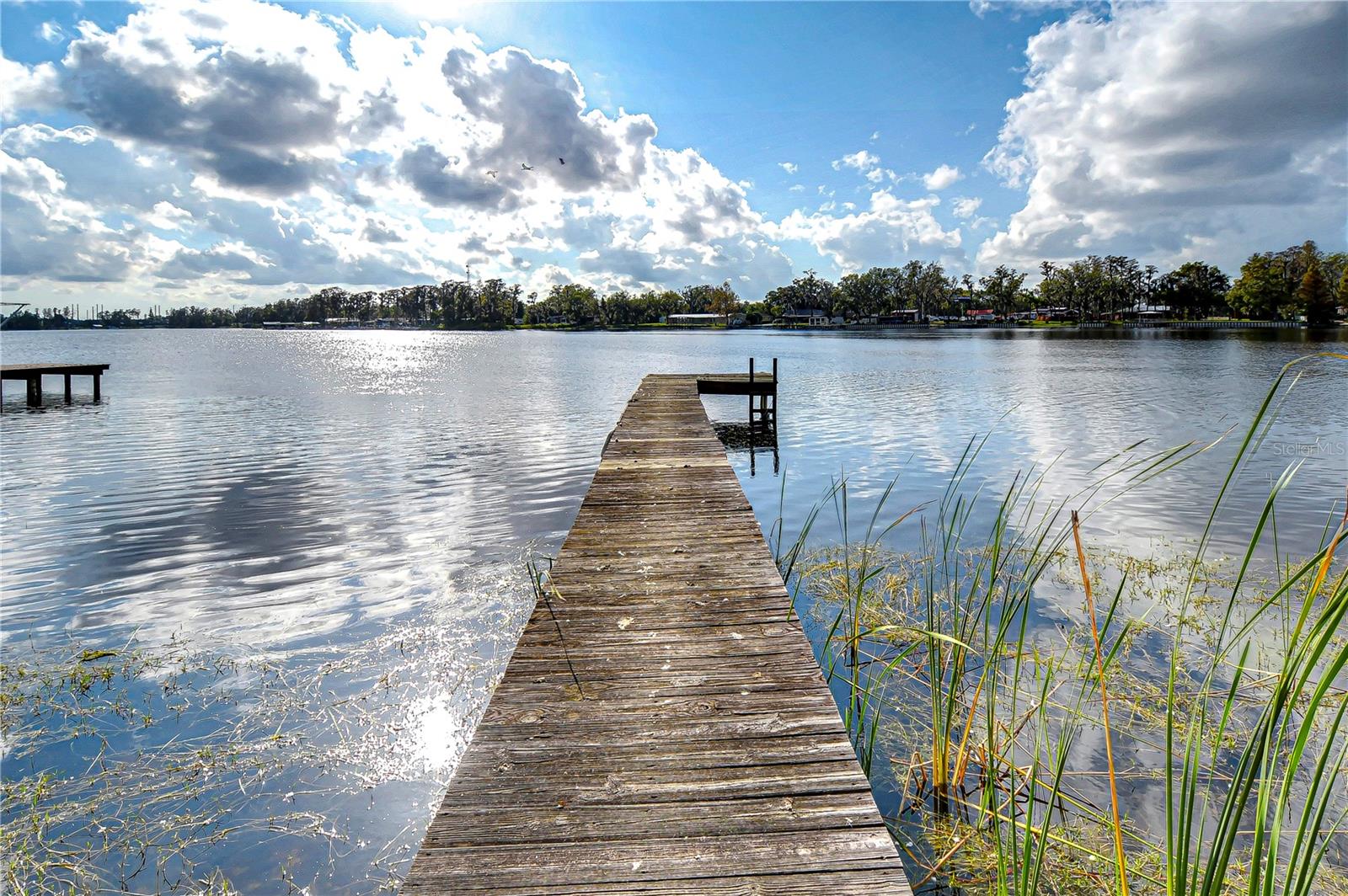 3207 LAKE PADGETT DR, LAND O LAKES, FL, 34639