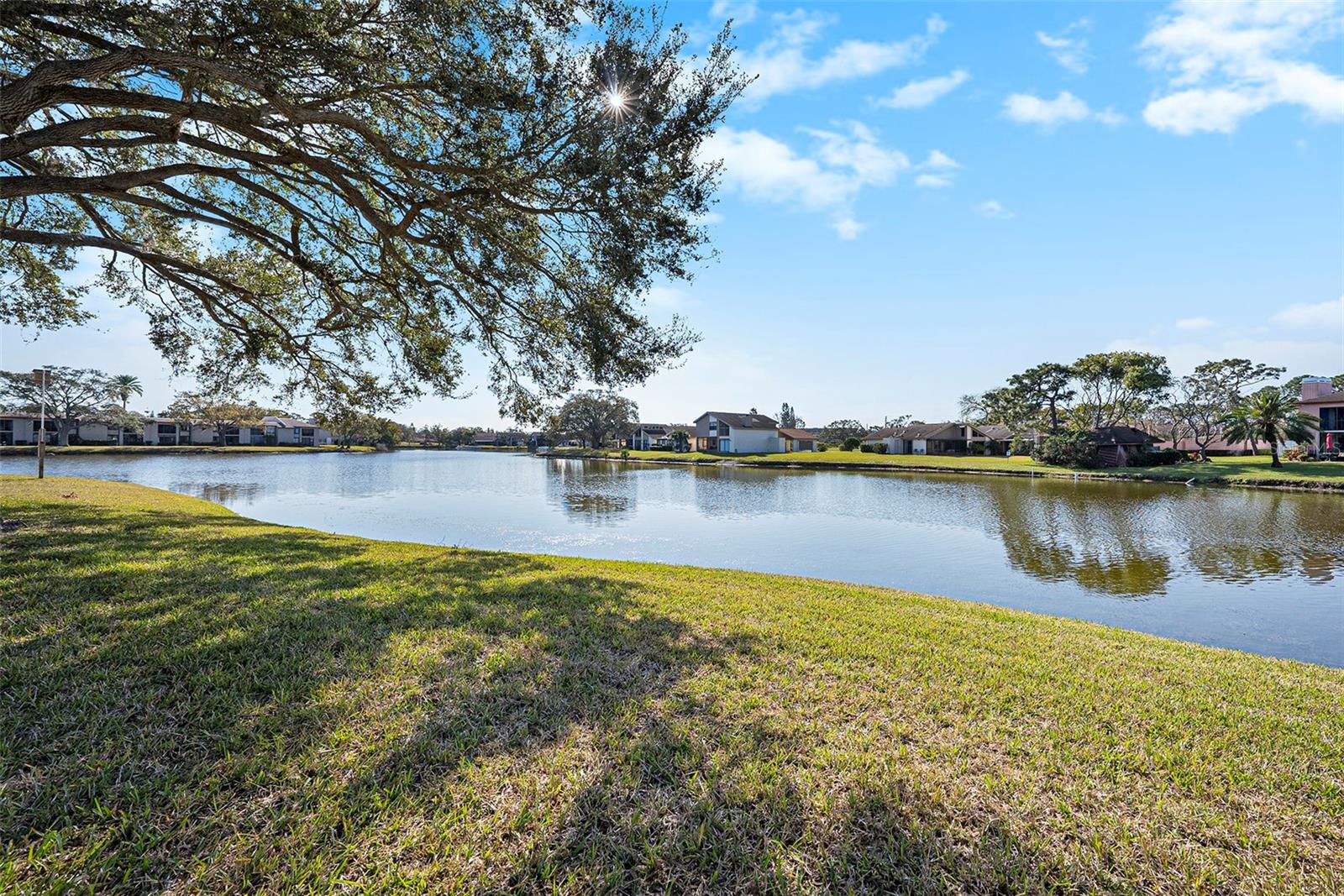 141 LAKEVIEW WAY #141, OLDSMAR, FL, 34677