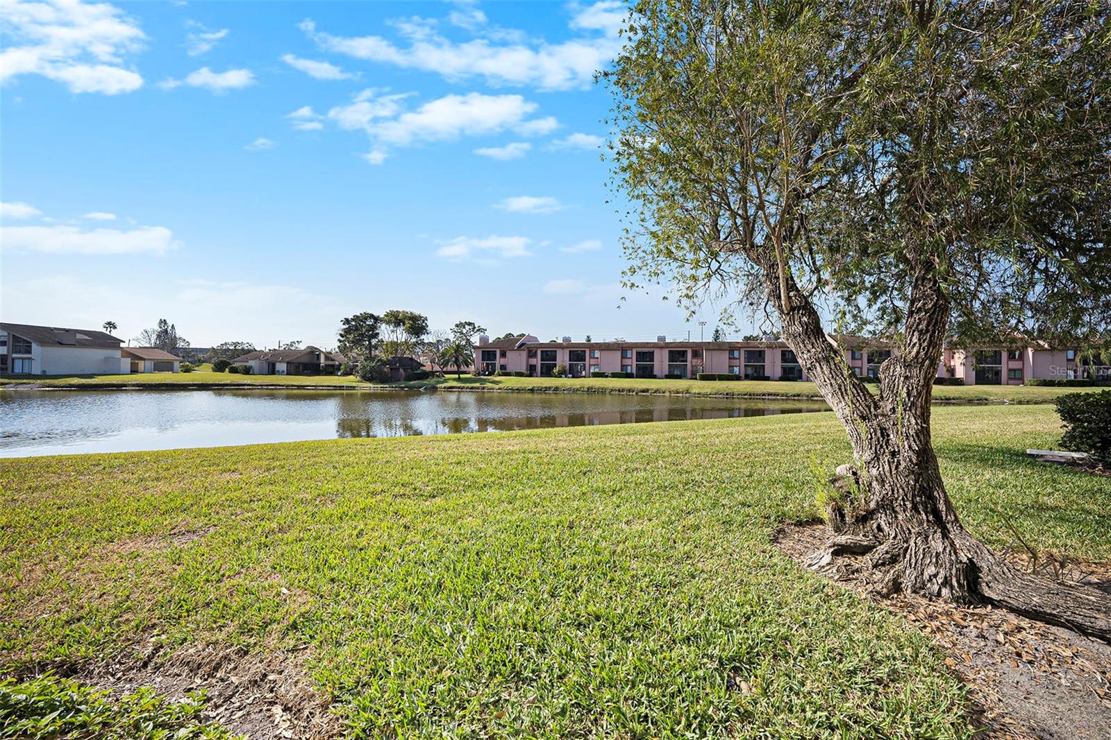 141 LAKEVIEW WAY #141, OLDSMAR, FL, 34677