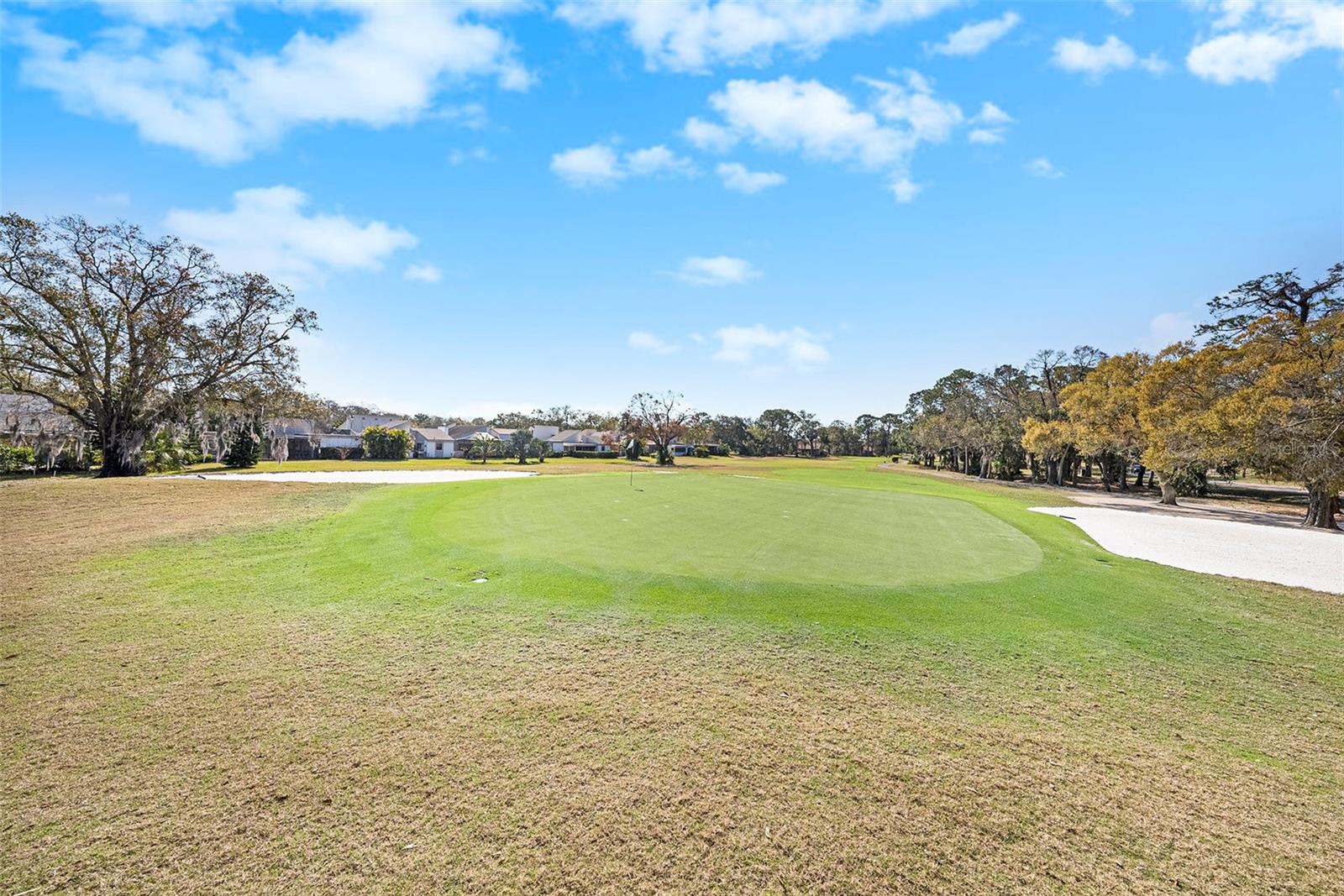 141 LAKEVIEW WAY #141, OLDSMAR, FL, 34677