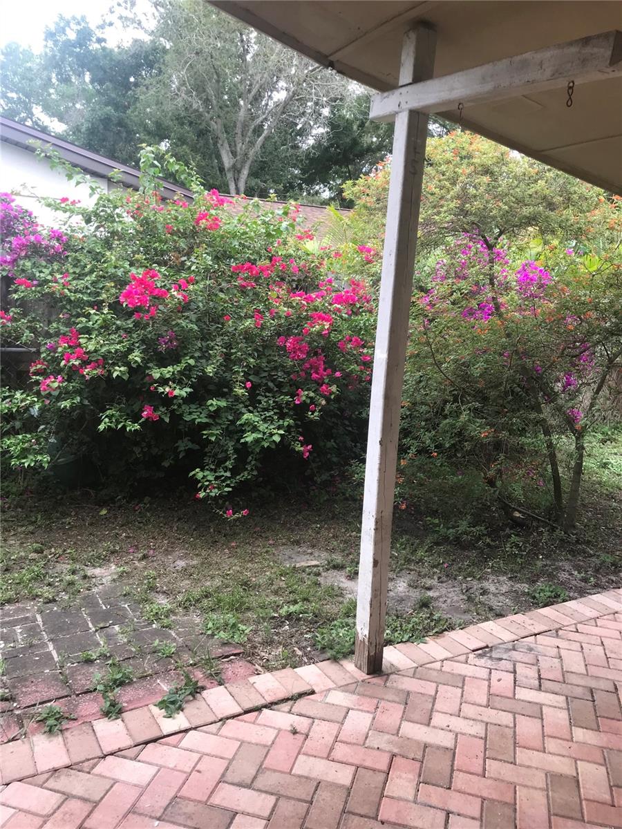 195 IRWIN ST W, SAFETY HARBOR, FL, 34695