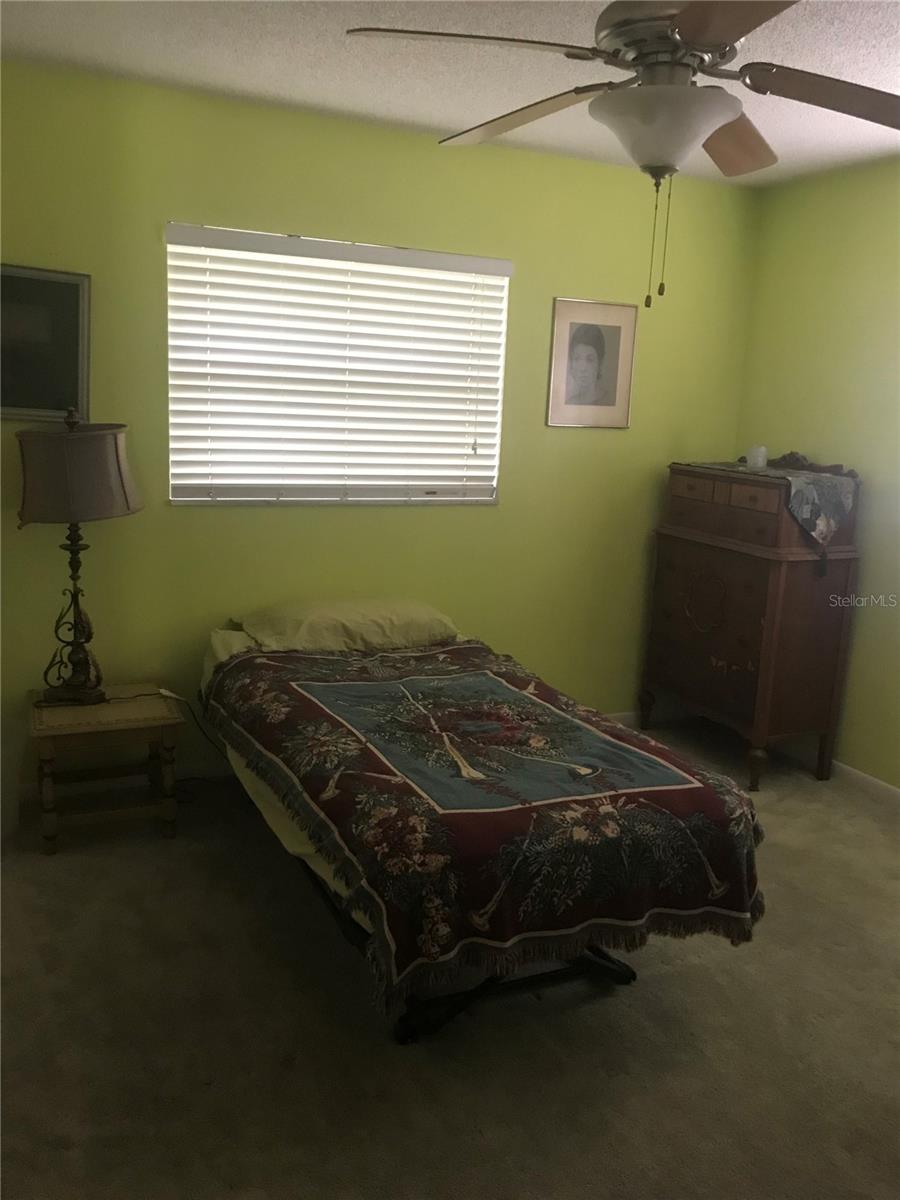 195 IRWIN ST W, SAFETY HARBOR, FL, 34695