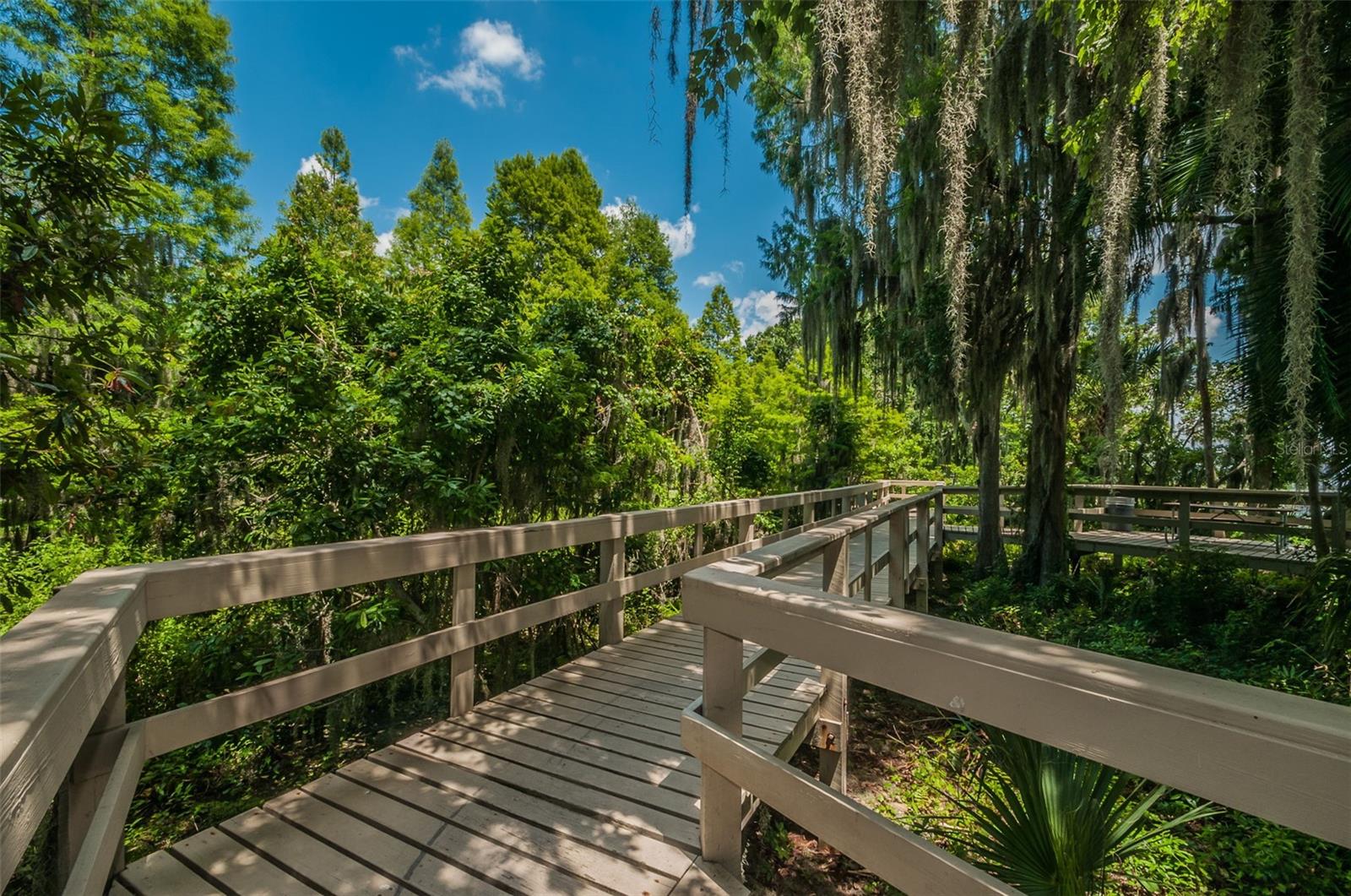 5100 JEWELL TER, PALM HARBOR, FL, 34685