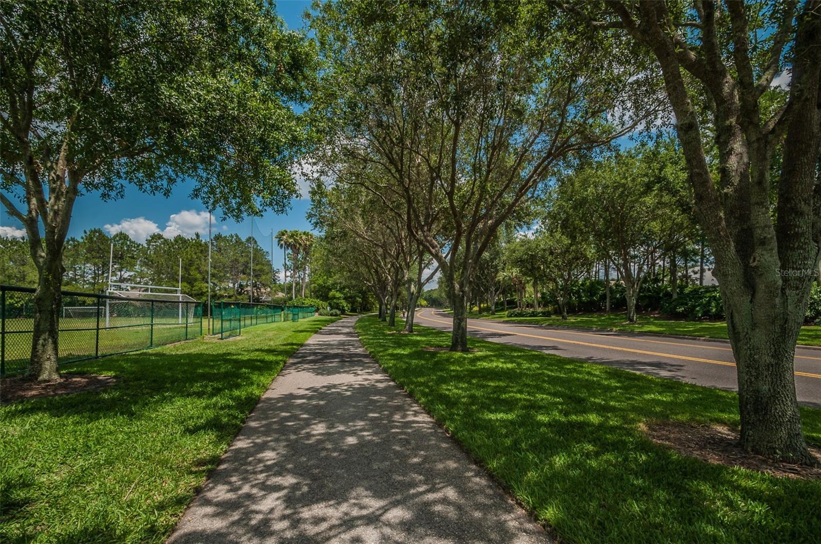 5100 JEWELL TER, PALM HARBOR, FL, 34685
