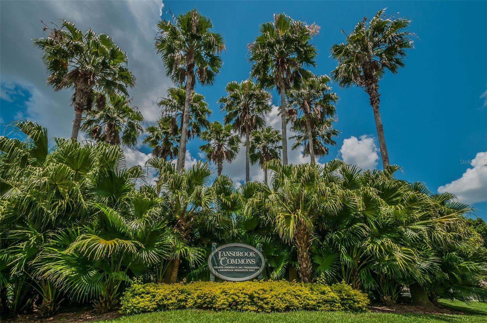 5100 JEWELL TER, PALM HARBOR, FL, 34685