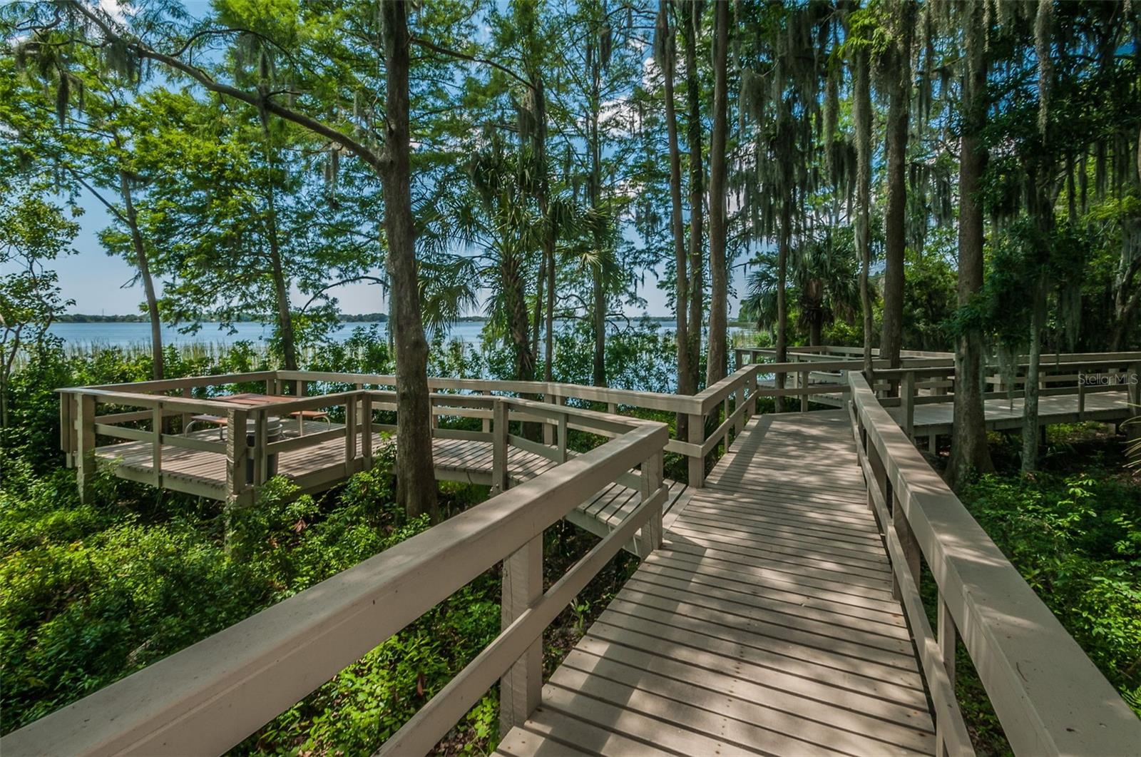 5100 JEWELL TER, PALM HARBOR, FL, 34685