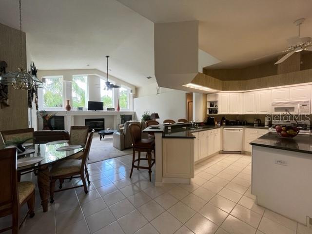 3710 SMOKE HICKORY LN, VALRICO, FL, 33596